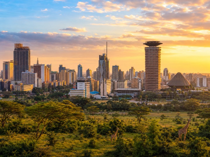 Nairobi skyline at sunset with giraffes, Kenya